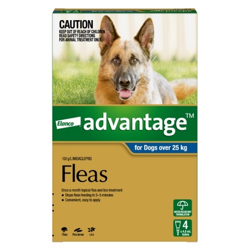 Advantage for Dogs Over 55lbs (25kg) Blue