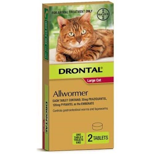 Drontal Allwormer for Large Cats upto 13.2lbs (6kg) Red