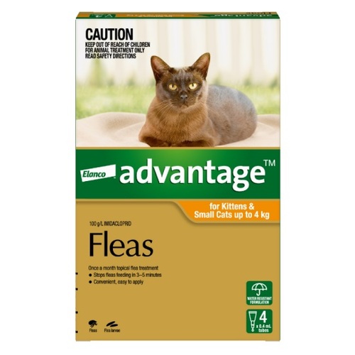 Advantage for Kittens and Small Cats Upto 8.8lbs (4kg) Orange