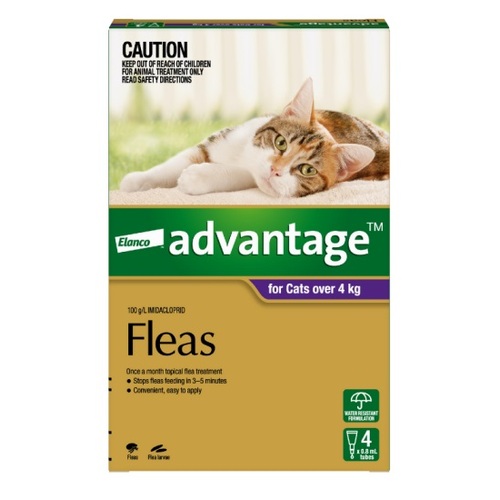 Advantage for Cats Over 8.8lbs (4kg) Purple