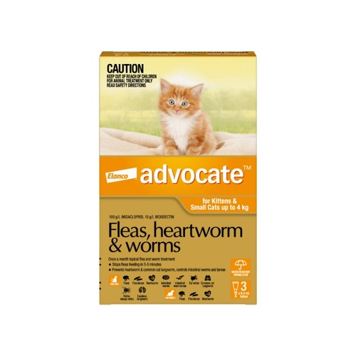 Advocate for Kittens &amp; Small Cats under 9lbs (under 4kg) - Orange