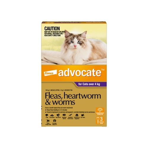 Advocate for Cats over 9lbs (over 4kg) - Purple