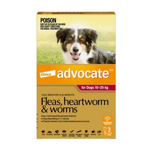 Advocate for Large Dogs 20-55lbs (10-25kg) - Red