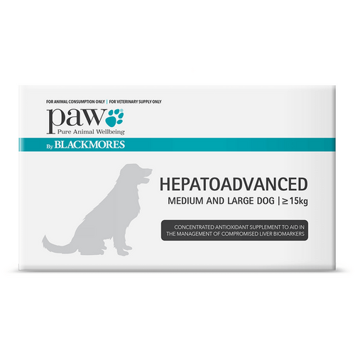 PAW (Blackmores) HepatoAdvanced - Medium And Large Dog +33lbs (+15kg) - 30 chews