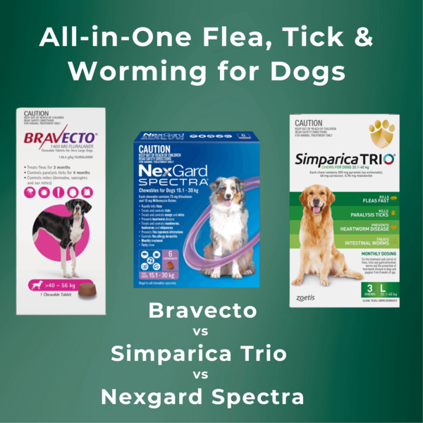 All-in-One Flea, Tick & Worming for Dogs: Bravecto vs Simparica Trio vs Nexgard Spectra