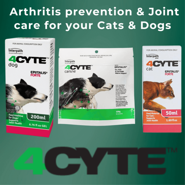 4cyte - Arthritis prevention & Joint care for your Cats & Dogs