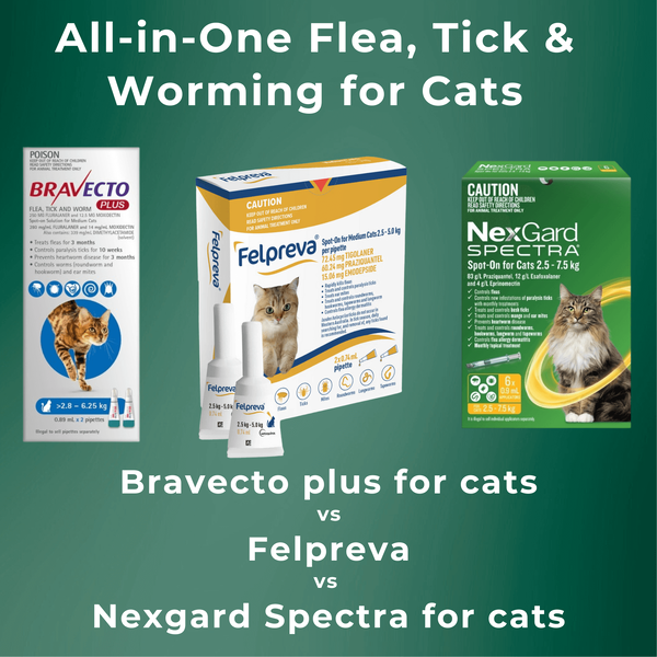 All-in-One Flea, Tick & Worming for Cats: Bravecto Plus vs Felpreva vs NexGard Spectra for cats